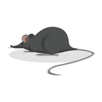 Simple Color Animal Vector Illustration Design