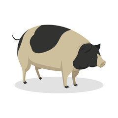Simple Color Animal Vector Illustration Design