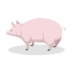 Simple Color Animal Vector Illustration Design
