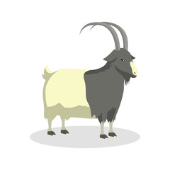Simple Color Animal Vector Illustration Design