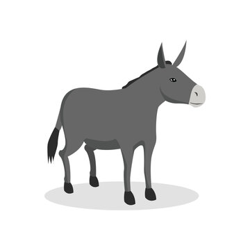 Simple Color Animal Vector Illustration Design