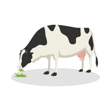 Simple Color Animal Vector Illustration Design