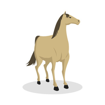 horse vector illustration