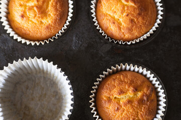 Freshly baked muffins cooling in a tray on a kitchen countertop during the morning hours