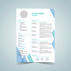 Curriculum Vitae Layout