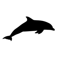 Fototapeta premium Silhouette of a dolphin isolated on transparent background