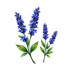 Obraz premium Vibrant Blue Flowers with Green Leaves Illustrating Natural Beauty