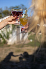Friends toasting with colorful drinks in a sunny outdoor setting during a joyful celebration