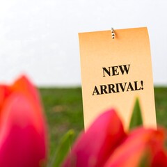 Fresh tulips and a new arrival sign
