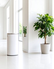 Clean, modern hallway with a plant