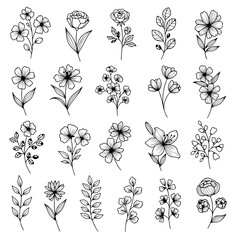Set of floral design elements, set of floral elements