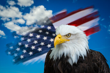 Proud bald eagle symbolizing American freedom and patriotism with a waving flag in the background.Suitable for concepts as Memorial, Independence, Veterans, Flag or Armed Forces Day.