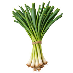 Fresh Green Onions Bundled Together with Vibrant Green Leaves