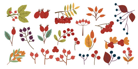 Whimsical collection of hand-drawn berries, leaves, and branches in vibrant reds, oranges, greens, and purples. Playful, flat illustration style evokes autumnal and natural charm