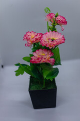 Indoor Decorative Artificial Pink Daisy Plant for Home Decor.