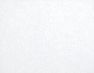 Plain white textured surface (1)