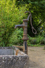 Old metal water pump with stone basin surrounded by green plants in garden