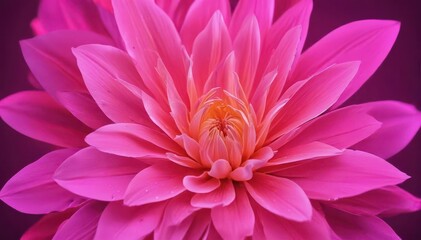 Obraz premium Abstract pink neon flower petals, glowing backdrop, luminescent, scene