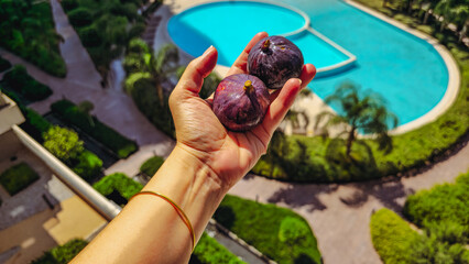 Two Fresh Figs in Hand by Pool