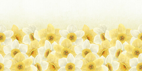 Seamless flower border of yellow, white daffodils on a gradient background with a yellow tint. Handmade digital illustration, watercolor, pastel.