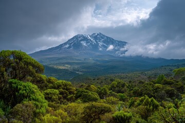 Fototapeta premium Majestic Kilimanjaro Summit Emerging from Foggy Skies with Verdant Slopes, Panoramic View of African Landmark
