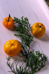 Tangerines with cypress sprig on wooden pink tray. Tangerines on pink background