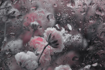 Smoke Soft focus gray, beige, pink Gypsophila Flower bouquet through glass with water drops....