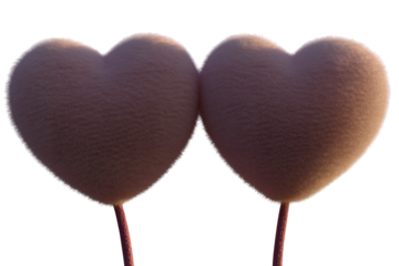 Two plush fuzzy heart shaped lollipop candies on sticks isolated on transparent background