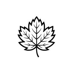 Autumn leaf svg icon