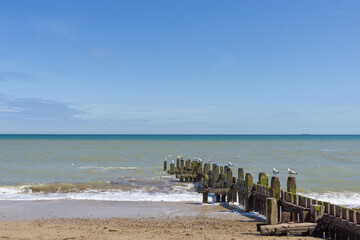 View to horizon past algae and barnacle encrusted beach protection groynes leading into sea on...