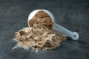 protein powder in scoop. dry mixture for preparation of sporting or dietary drink.