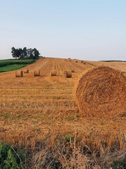 bales of hay