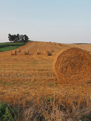 bales of hay