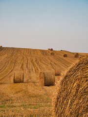bales of straw