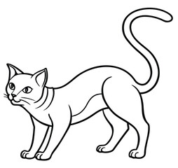 A vector illustration of a cute black and white cat sketch
