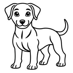 Black and white dog portrait of a cute Jack Russell Terrier on white background