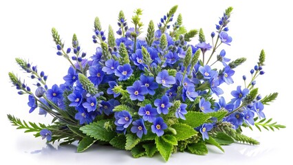 Arrangement of Vibrant Blue Flowers with Green Leaves on White Background