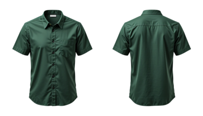 Two friends laughing and taking a selfie in a sunlit park, a photo of youth and camaraderie