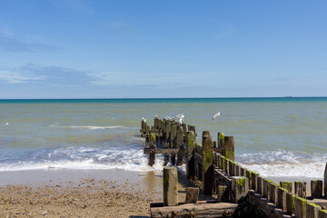 View to horizon past algae and barnacle encrusted beach protection groynes leading into sea on...