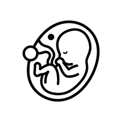 Fototapeta premium Embryo in a womb outline showing development in early pregnancy 