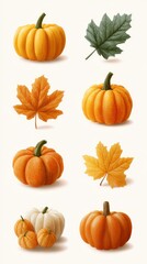 Collection of colorful pumpkins and autumn leaves showcasing seasonal harvest in a vibrant still life arrangement