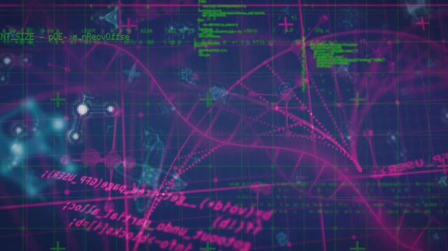 Grid filling frame starting code scrolling tracing curves nodes pulsing to visualize network growth