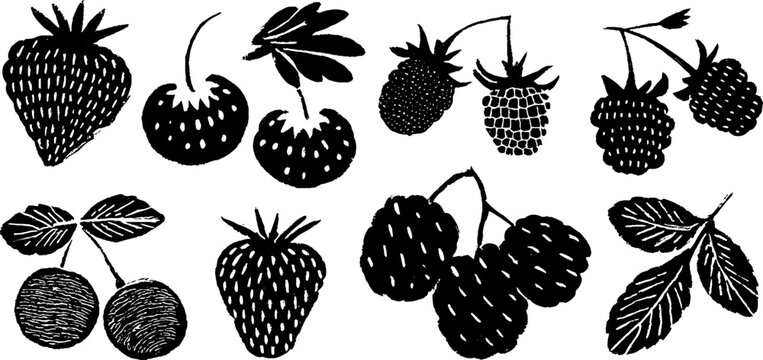 Fototapeta Botanical berry collection in linocut style featuring strawberry and raspberry designs for creative projects