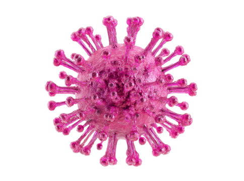 Microscopic view of a pink coronavirus cell 3d render, Isolated On Transparent Background - Powered by Adobe