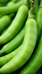Close-up of broad bean pods with green and white stripes , plant, seed