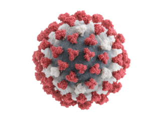 Microscopic view of coronavirus covid19 virus particle, Isolated On Transparent Background
