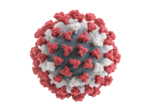 Microscopic view of coronavirus covid19 virus particle, Isolated On Transparent Background
