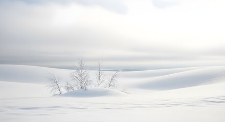 Serene Winter Landscape with Snow-Covered Hills and Bare Trees Under a Bright Overcast Sky