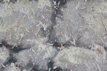 snow covered branches