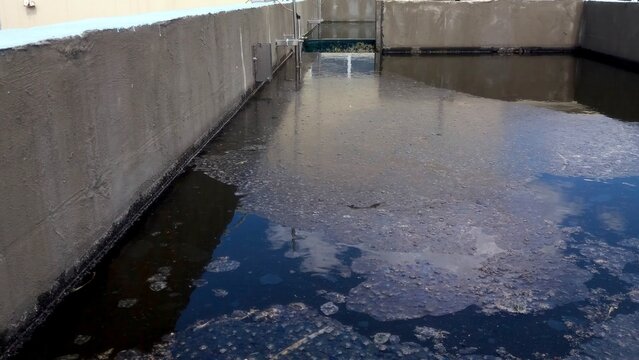Mud Accumulation on Treatment Plant Water Surface in Industrial Area During Daylight Hours